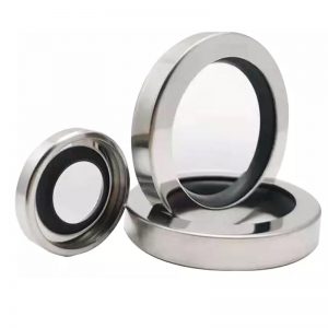 stainless lip seal